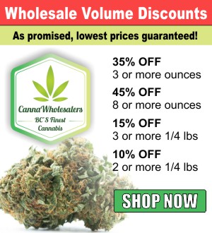 Wholesale Dispensary Canada - CannaWholesalers cannawholesalers-wholesale-volume-discounts-cannabis