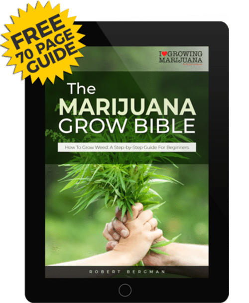 cannabis grow bible audiobook