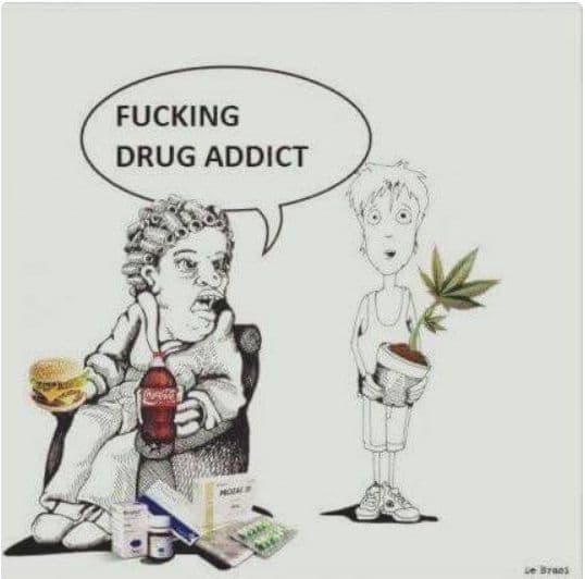 drug-addict-weed-meme - The Chronic Beaver