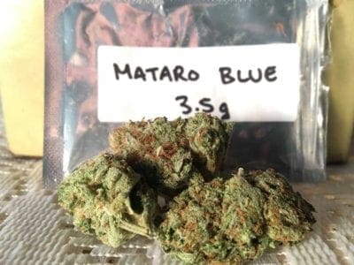 An Eighth of Mataro Blue from GetKush get-kush-unboxing-review-cannabis-flowers-mataro-blue