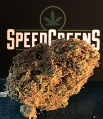SpeedGreens 3.5 (1 eighth) bud of Sweet Tooth how-much-is-an-eighth-of-weed-measurement