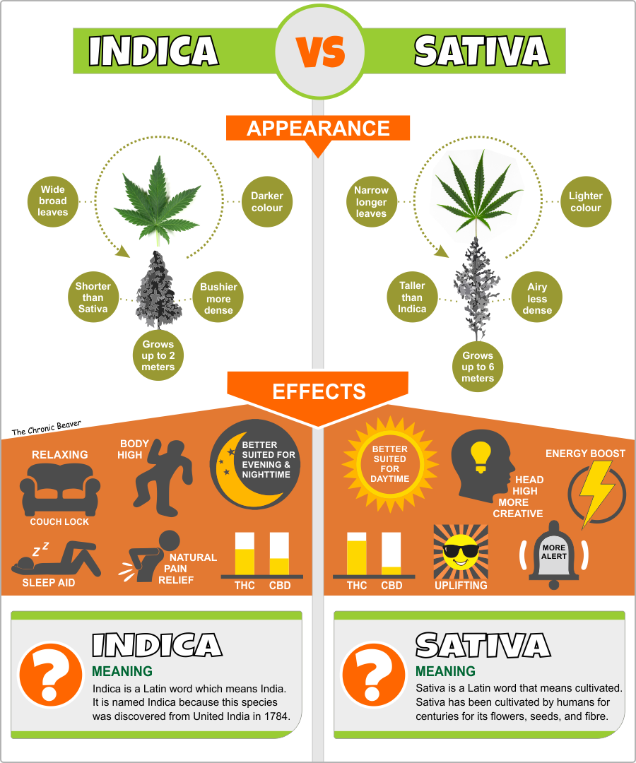 indica vs sativa vs hybrid