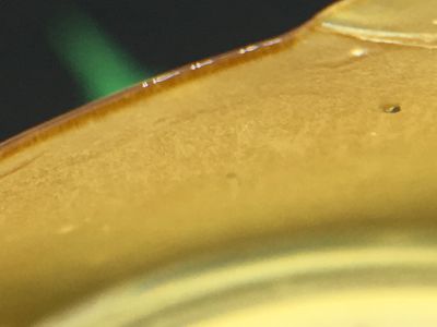 Green Society's AAAA+ nug run premium shatter green-society-AAAA-house-blend-shatter-macro
