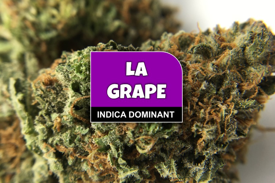 LA Grape Strain Review & Ratings The Chronic Beaver