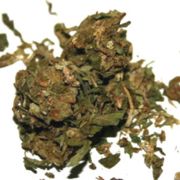Weed Grading System Canada A Grade Cannabis Weed-Grading-System-Canada-A-Grade-Cannabis