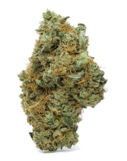 AAA Cannabis "Trips"