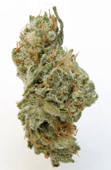Chernobyl strain, best weed for hangovers